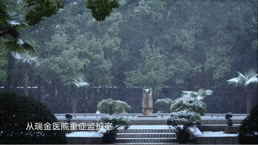 ¼Ƭ˼[1080P][ڶ10 Ļ][ٶ]