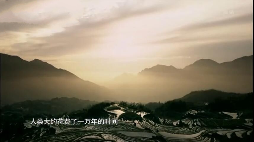 ¼Ƭй 2019[1080P][7 Ļ][ٶ]