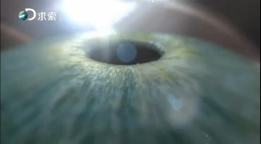 ¼ƬƼ[1080P][6 ӢĻ][ٶ]